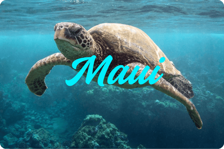 Maui Tours